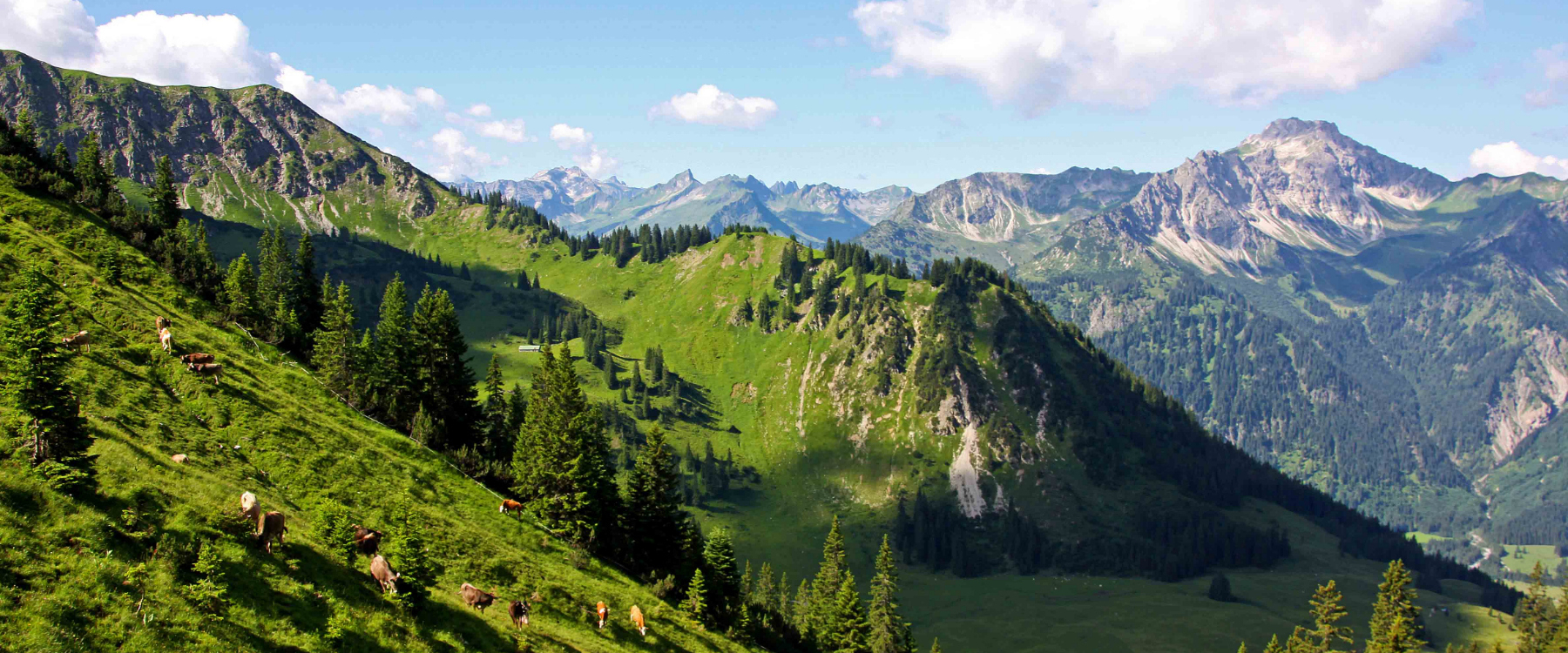 2014 07 Bad Hindelang 127 Kopie web.jpg